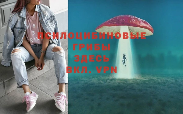 СК Абдулино