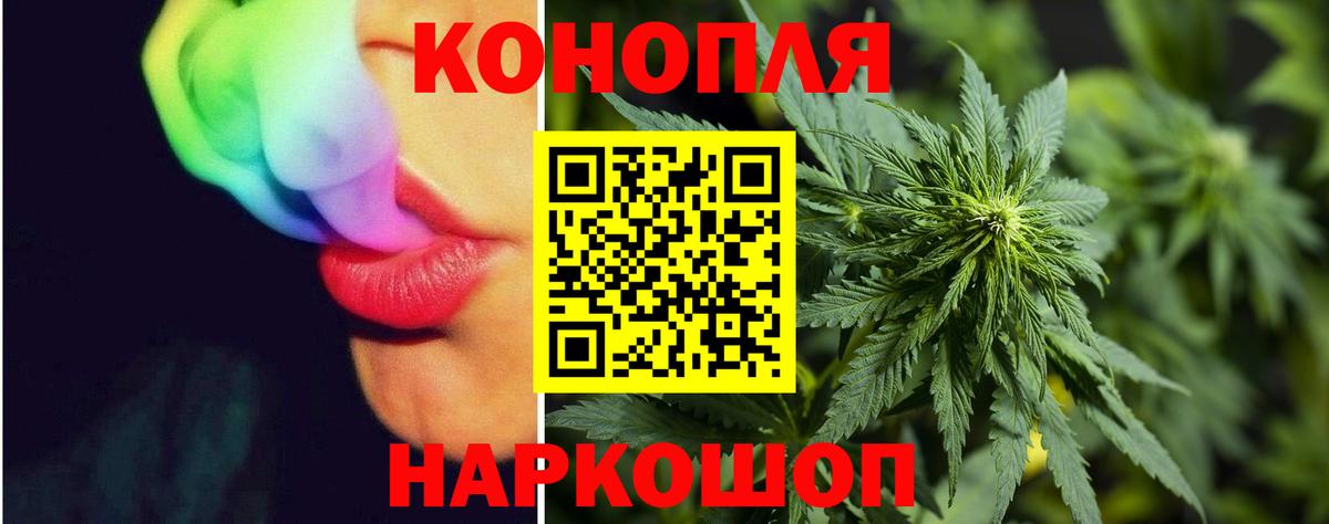 Ефремов  Бошки марихуана VHQ  Канабис White Widow  Марихуана сатива  Каннабис сатива  Вход с VPN 